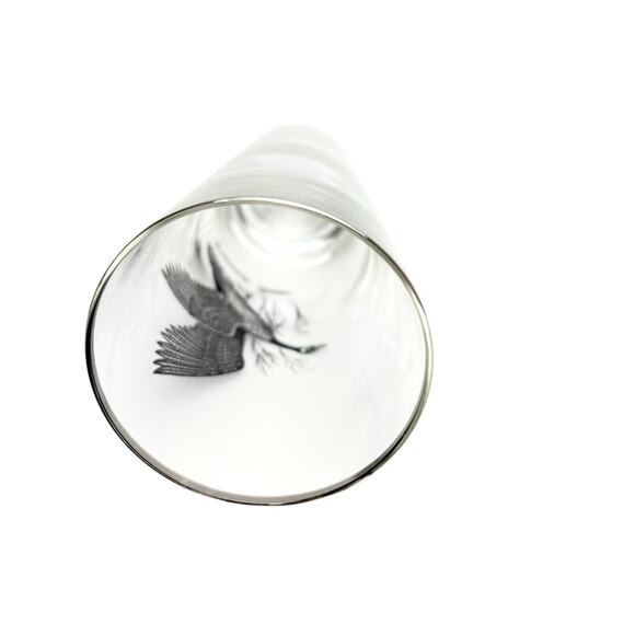 Collectible Pilsner Glass Canada Goose Silver Rim Beer Barware 6.75 Inch Tall - Picture 8 of 12